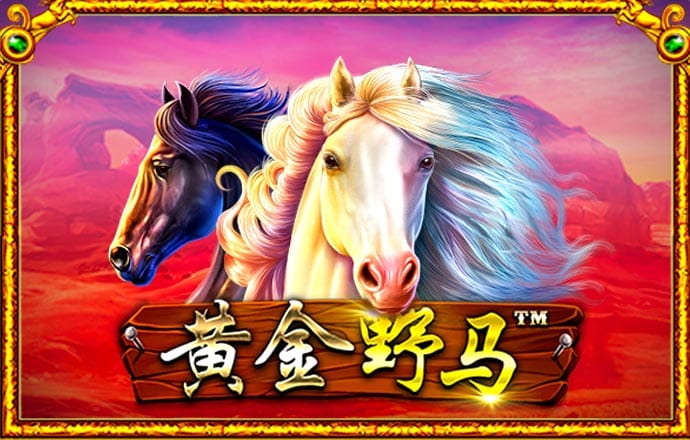 bsports官网登录入口手机版